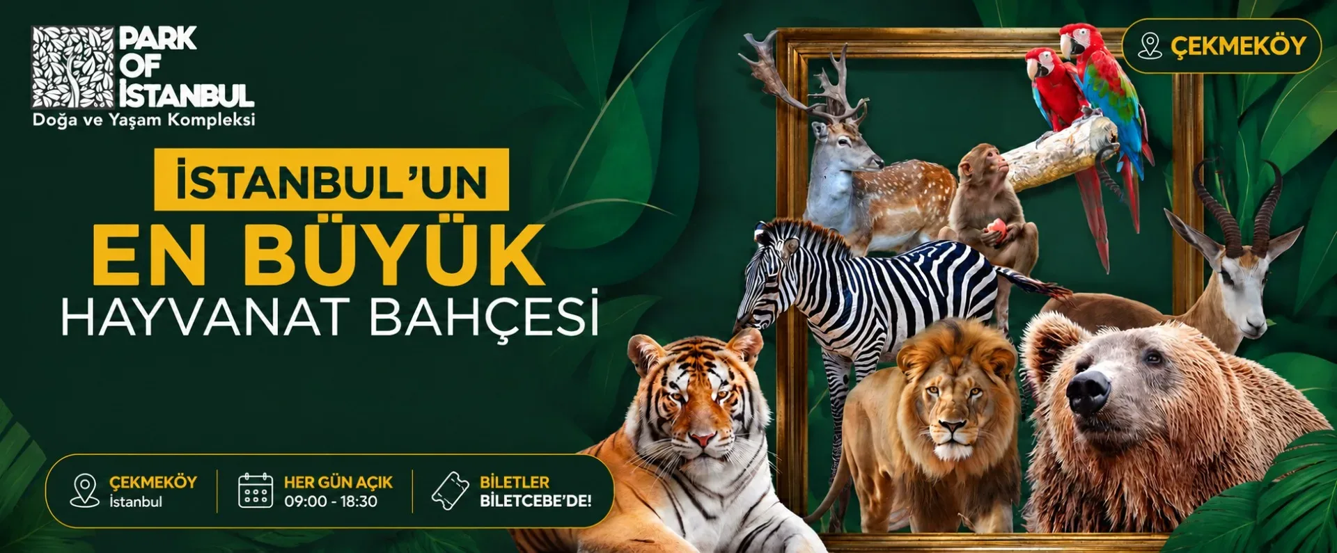 Park of İstanbul: Hayvanat Bahçesi